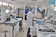 Ảnh chỉ mang tính minh họa. Nguồn Internet