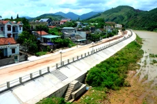 Ảnh chỉ mang tính minh họa. Nguồn Internet