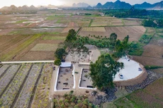 Toàn cảnh bãi cọc Cao Quỳ, xã Liên Khê, huyện Thủy Nguyên được khai quật cuối năm 2019