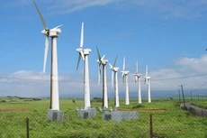 Ảnh chỉ mang tính minh họa. Nguồn Internet