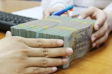 Tín dụng với hầu hết các lĩnh vực ưu tiên tăng khá. Ảnh: Tường Lâm 