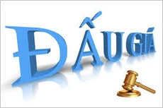 Ngày 07/02/2025, đấu giá 02 xe ô tô đã qua sử dụng tại TP. Hà Nội