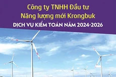 Công ty TNHH Đầu tư năng lượng mới Krongbuk thông báo chào giá