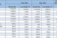 Kết quả kinh doanh của một số doanh nghiệp bất động sản khu công nghiệp - (Nguồn: Báo cáo tài chính doanh nghiệp, Đơn vị tính: Tỷ đồng)
