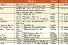 Một số dự án khu công nghiệp được cấp chủ trương đầu tư năm 2024