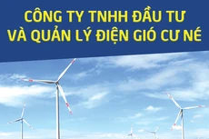 Công ty TNHH Đầu tư và Quản lý điện gió Cư Né thông báo chào giá