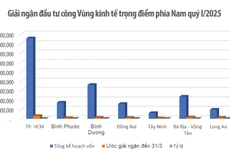 Đơn vị tính: Triệu đồng