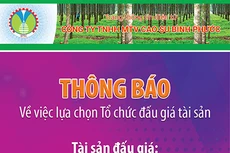 Công ty TNHH MTV Cao su Bình Phước thông báo về việc lựa chọn Tổ chức đấu giá tài sản