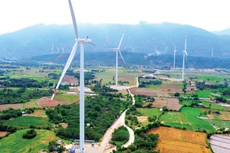 Các dự án năng lượng tái tạo được đưa vào vận hành thương mại sẽ đóng góp đáng kể cho kế hoạch phát triển kinh tế - xã hội của địa phương. Ảnh: Lê Tiên