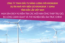 Công ty TNHH Đầu tư năng lượng mới Krongbuk thông báo chào giá