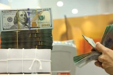 Trong năm 2024, tỷ giá USD/VND đã có những biến động khá mạnh, có thời điểm đồng USD tăng giá gần 5% so với VND. Ảnh: Lê Tiên