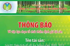 Công ty TNHH MTV Cao su Bình Phước thông báo về việc lựa chọn tổ chức thẩm định giá tài sản