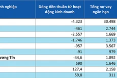 Khả năng thanh toán nợ ngắn hạn từ dòng tiền kinh doanh 6 tháng đầu năm 2024. Nguồn: Báo cáo tài chính bán niên 2024 của doanh nghiệp - Đơn vị tính: tỷ đồng