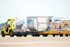 Công ty CP Dịch vụ Hàng hóa Nội Bài dự kiến trả cổ tức năm 2024 bằng tiền mặt với tỷ lệ 80%. Ảnh: Tường Lâm