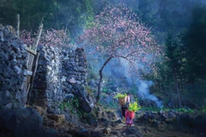 Cao nguyên đá Đồng Văn trầm mặc, huyền bí mà yên bình. Ảnh: Phan Dũng