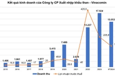 Nguồn: Báo cáo tài chính Công ty CP Xuất nhập khẩu than - Vinacomin