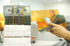 Việc Cục Dự trữ liên bang Mỹ giữ lãi suất ở mức cao khiến dòng vốn có xu hướng đổ về Mỹ, gây áp lực lên tỷ giá USD/VND. Ảnh: Lê Tiên