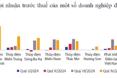 (Nguồn: báo cáo tài chính doanh nghiệp. Đơn vị tính: tỷ đồng)