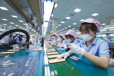 Một số tổ chức nghiên cứu giữ nguyên quan điểm tích cực về triển vọng phục hồi của doanh nghiệp và nền kinh tế Việt Nam. Ảnh: Nhã Chi