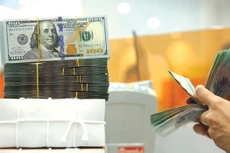 Lũy kế từ đầu năm, Chính phủ đã ký kết 4 thỏa thuận vay nước ngoài với tổng giá trị ký kết khoảng 417 triệu USD. Ảnh: Tiên Giang