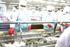 Kim ngạch xuất khẩu hàng hóa 2 tháng đầu năm 2025 đạt 64,27 tỷ USD, tăng 8,4% so với cùng kỳ năm trước. Ảnh: Nhã Chi