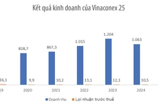 Nguồn: Báo cáo thường niên của doanh nghiệp. Đơn vị tính: tỷ đồng