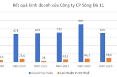 Nguồn: Báo cáo tài chính của Công ty CP Sông Đà 11. Đơn vị tính: tỷ đồng