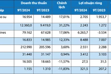 Nguồn: Báo cáo tài chính và doanh nghiệp công bố. Đơn vị tính: tỷ đồng