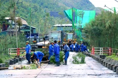 Các doanh nghiệp ngành than tại Quảng Ninh đang khắc phục thiệt hại của bão để khôi phục hoạt động sản xuất, kinh doanh. Ảnh: Bảo Linh