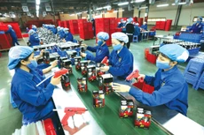 5 tháng đầu năm 2025, kim ngạch xuất khẩu hàng hóa đạt 180,23 tỷ USD, tăng 14% so với cùng kỳ năm trước. Ảnh: Huấn Anh