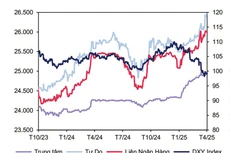 Biến động tỷ giá USD/VND.