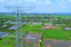 Dự án Đường dây 500kV Lào Cai - Vĩnh Yên được triển khai tại 4 tỉnh Lào Cai, Yên Bái, Phú Thọ và Vĩnh Phúc. Ảnh minh họa: Nhã Chi