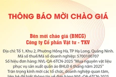 Công ty cổ phần Vật tư - TKV thông báo mời chào giá 