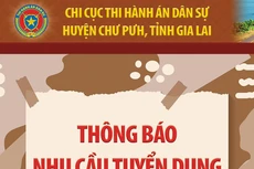 Chi cục Thi hành án dân sự huyện Chư Pưh, tỉnh Gia Lai thông báo nhu cầu tuyển dụng
