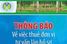 Công ty TNHH MTV Cao su Bình Phước thông báo về việc thuê đơn vị tư vấn lập hồ sơ dự án trồng keo lai