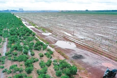 Dự án đường Vành đai 4 TP.HCM đoạn từ cầu Thủ Biên - sông Sài Gòn (giai đoạn 1) có tổng mức đầu tư hơn 11.743 tỷ đồng. Ảnh: Tiên Giang