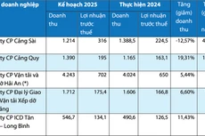 Kế hoạch kinh doanh của một số doanh nghiệp cảng biển. Nguồn: Báo cáo thường niên, tài liệu họp cổ đông doanh nghiệp. Đơn vị tính: tỷ đồng) - (*): Lợi nhuận sau thuế Hải An