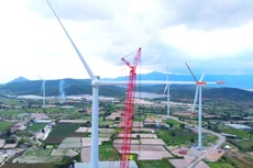 Quy hoạch điện VIII đặt ra mục tiêu phát triển mạnh các nguồn năng lượng tái tạo phục vụ sản xuất điện, đạt tỷ lệ khoảng 30,9 - 39,2% vào năm 2030. Ảnh: Tiên Giang