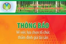 Công ty TNHH MTV Cao su Bình Phước thông báo về việc lựa chọn tổ chức thẩm định giá tài sản