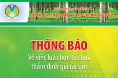 Công ty TNHH MTV Cao su Bình Phước thông báo về việc lựa chọn tổ chức thẩm định giá tài sản