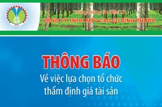 Công ty TNHH MTV Cao su Bình Phước thông báo về việc lựa chọn tổ chức thẩm định giá tài sản
