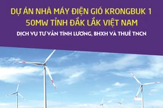 Công ty TNHH Đầu tư Năng lượng mới Krongbuk thông báo chào giá