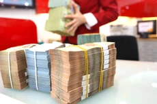 Trong 11 tháng đầu năm 2024, các tập đoàn, tổng công ty, doanh nghiệp nhà nước đã thoái vốn tại 3 doanh nghiệp với giá trị 40,9 tỷ đồng, thu về 182 tỷ đồng. Ảnh: Tiên Giang