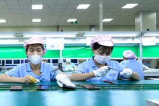 Tính từ đầu năm đến ngày 15/10/2024, cả nước xuất siêu 21,3 tỷ USD. Ảnh: Tiên Giang