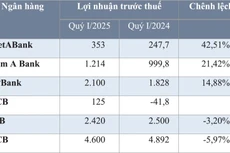 Nguồn: Báo cáo tài chính và báo cáo của ngân hàng. Đơn vị tính: tỷ đồng