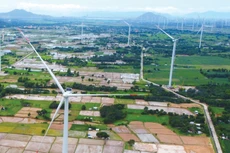 Quy hoạch điện VIII điều chỉnh đặt mục tiêu đến năm 2030, nguồn điện gió trên bờ và gần bờ đạt khoảng 26.066 - 38.029 MW. Ảnh: Nguyễn Cường