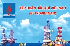 Tập đoàn Dầu khí Việt Nam thông báo mời thầu