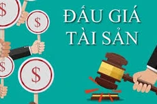 Công ty Đấu giá hợp danh Đông Nam thông báo đấu giá tài sản