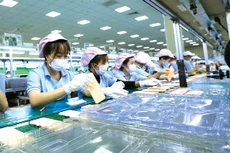Tính từ đầu năm đến ngày 15/11, kim ngạch xuất khẩu điện thoại các loại và linh kiện đạt 48,6 tỷ USD. Ảnh: Nhã Chi