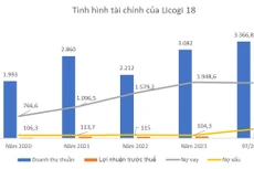 Nguồn: Báo cáo tài chính của doanh nghiệp. Đơn vị tính: tỷ đồng